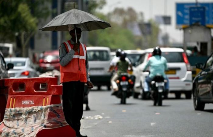 Asia, “motore economico” del globo in balia delle tensioni commerciali e del clima – 11/01/2024 16:01