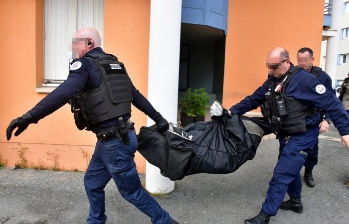 La Francia sotto l’influenza sanguinosa del narcotraffico