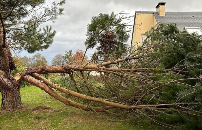 Tempesta Ciaran, un anno dopo: i vigili del fuoco di Lessay “tagliati fuori dal mondo”