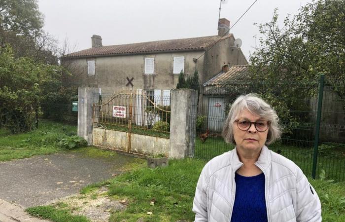 un cane al centro di un conflitto di quartiere