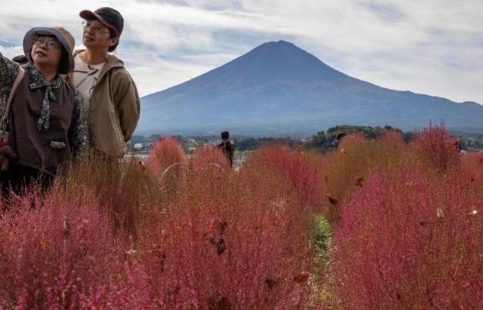 Giappone. Ma dov’è finita la copertura nevosa del Monte Fuji?