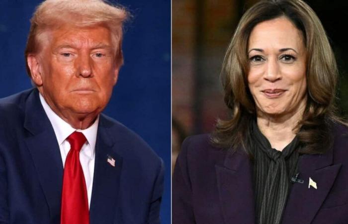 Donald Trump o Kamala Harris: l’anarchia che verrà dopo il 5 novembre