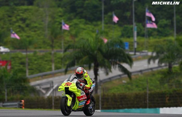 MotoGP Malesia J1, Marco Bezzecchi (Ducati/12): “Andrea Iannone sta già facendo delle partenze migliori di me”