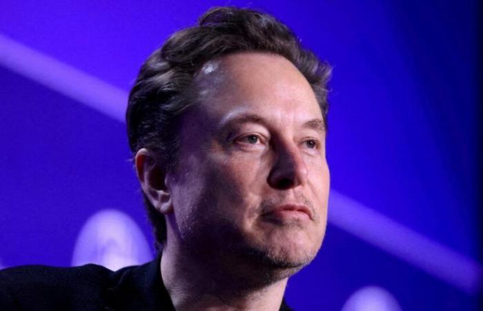 La corte federale restituisce il caso della lotteria elettorale di Musk alla Pennsylvania