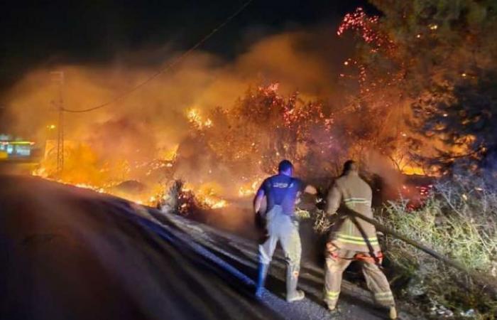 Sotto controllo l’incendio nella foresta di Roumieh