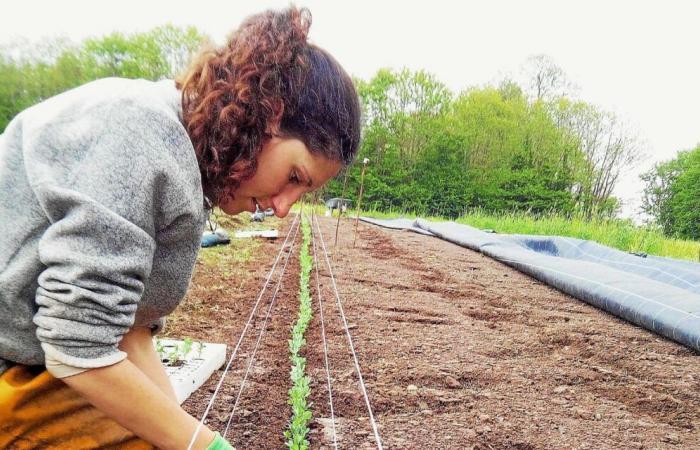 “Il prezzo ingiusto del nostro cibo”: un'indagine presentata mercoledì al Run Ar Puñs, a Châteaulin