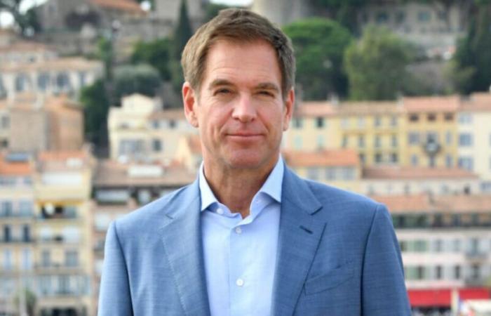 Michael Weatherly (NCIS) consiglia queste tre serie poco conosciute in Francia