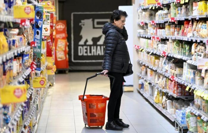 Delhaize, Carrefour, Colruyt… cosa è aperto e cosa chiude questo 1° novembre