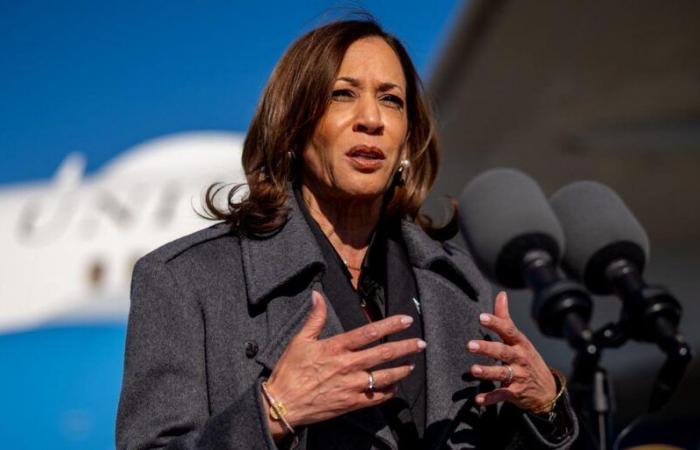 Secondo Kamala Harris, la violenza verbale di Donald Trump lo “squalifica” per la Casa Bianca