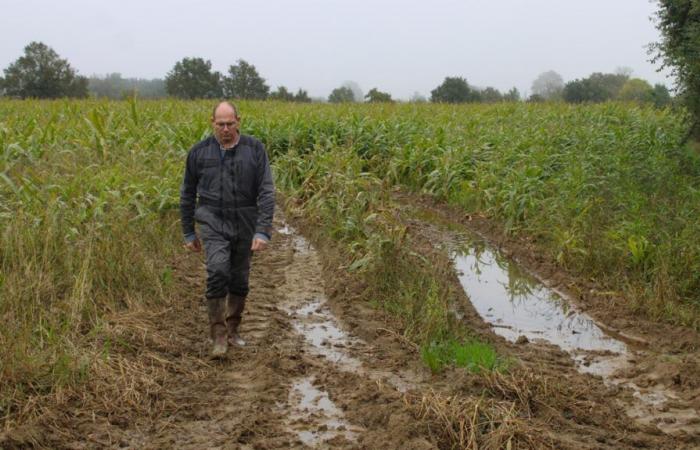 un 2024 “catastrofico” per gli agricoltori