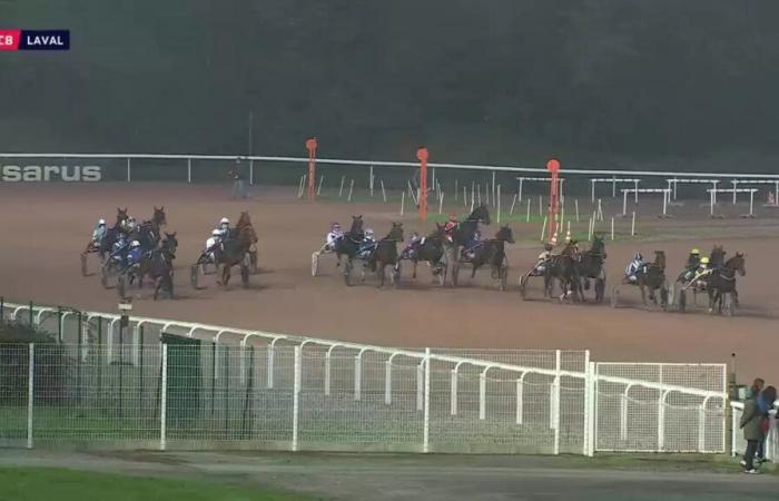 PRIX PARIS-TURF – LAVAL – 01/11/2024: partenti, pronostici e risultati in video – Gara 8