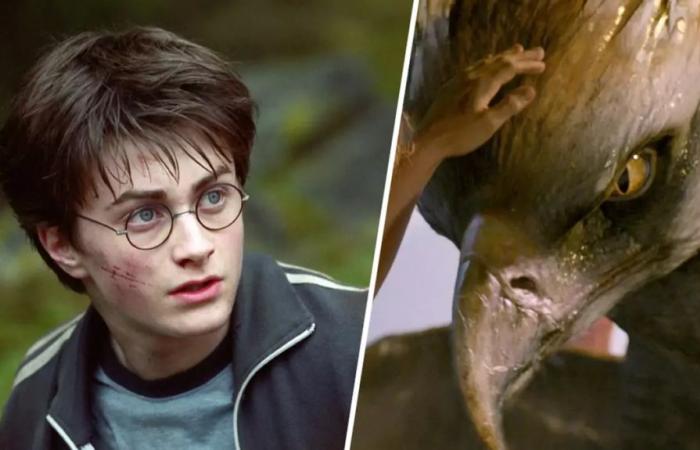 I fan di Harry Potter non si preoccupano della cancellazione ufficiale – Harry Potter