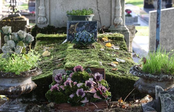 i cimiteri finiranno presto lo spazio?