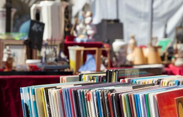 Mercatino delle pulci, vendita di libri, pattinaggio artistico… Le nostre idee per le gite di questo fine settimana ad Angers