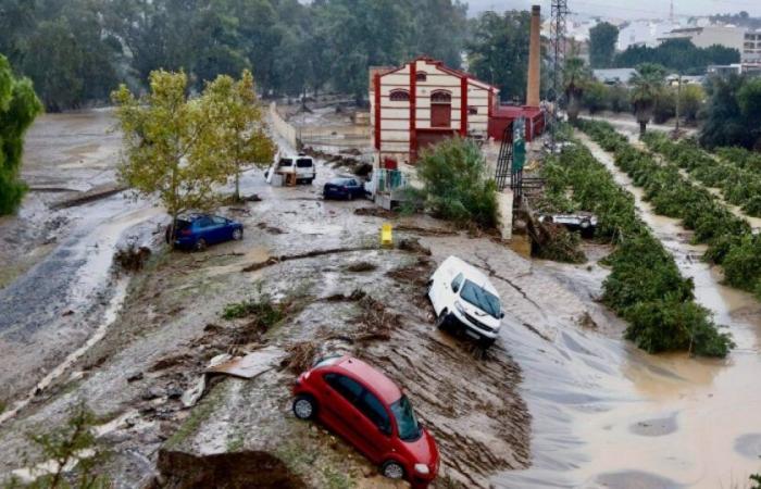 Vorresti che la Francia investisse di più per aiutare la Spagna? : Notizia