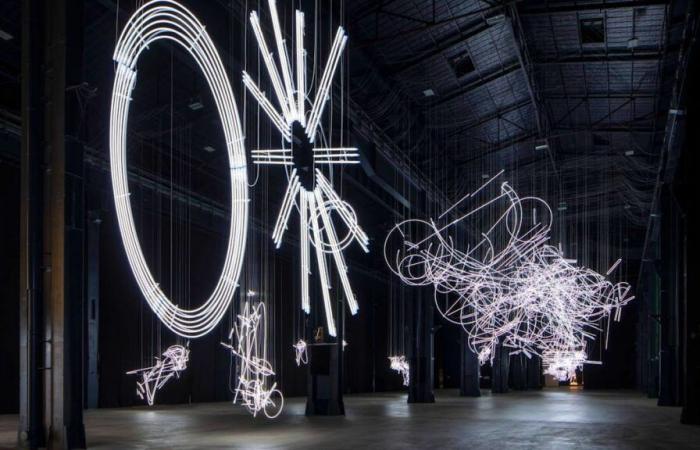 Francia/Grand Est: I neon di Cerith Wyn Evans, “qualcosa di eccezionale” da vedere a Metz