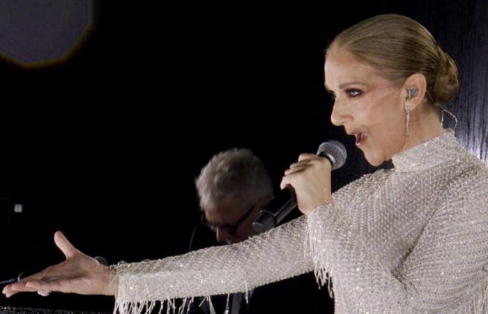 Buone notizie per i fan di Celine Dion: la canadese tornerà presto… con un progetto in francese