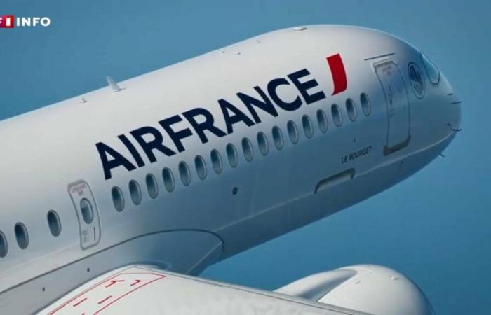 Biglietti aerei: Air France applica un sovrapprezzo anche prima dell'approvazione della legge