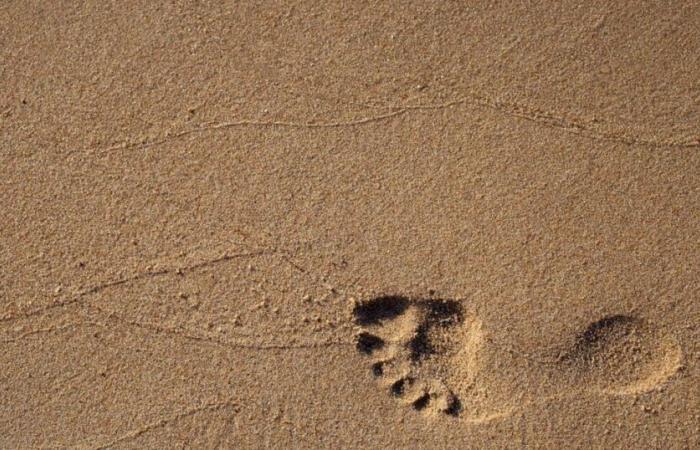 Perché la sabbia della spiaggia a volte è rosa o nera?