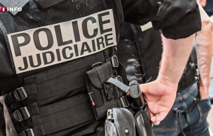 LIVE – Poitiers: cinque feriti in una sparatoria durante una rissa che ha coinvolto tra “400 e 600 persone”