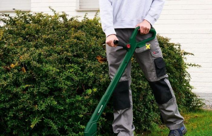 Il prezzo di questo trimmer Parkside è quasi incredibile alla Lidl ma non durerà