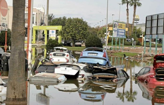 almeno 205 morti, secondo un nuovo rapporto