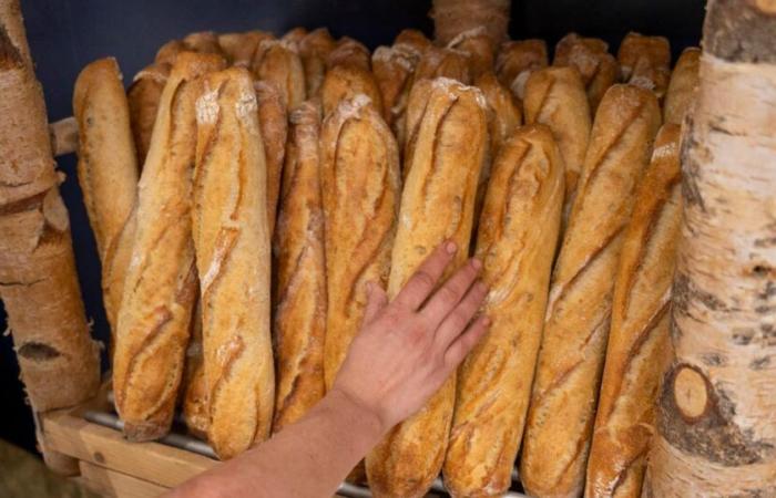 La Francia produce ancora il pane migliore del mondo?