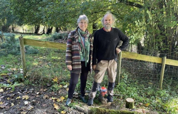 La Folêterie, uno straordinario giardino nell'Orne scolpito con amore da 30 anni