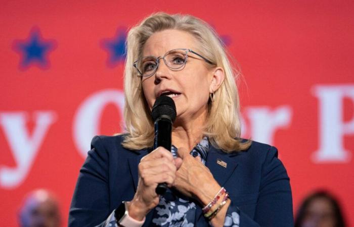 Donald Trump suggerisce di puntare una pistola contro Liz Cheney, risponde repubblicano pro-Harris