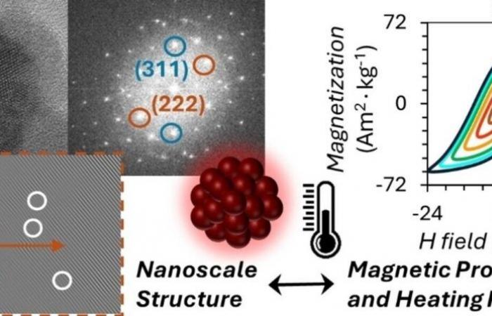 “Nanofiori” per curare il cancro