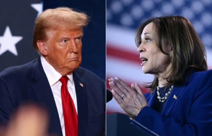 Harris e Trump in un'escalation verbale per conquistare gli stati chiave – 11/02/2024 alle 00:52