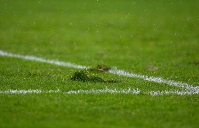 Le auto di due educatori di calcio, dell'U11, sono bruciate la stessa notte vicino a Tolosa