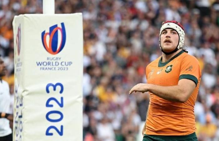 RUGBY. Francia, Irlanda, Nuova Zelanda, ecc. Quali dinamiche per i big prima dei test?