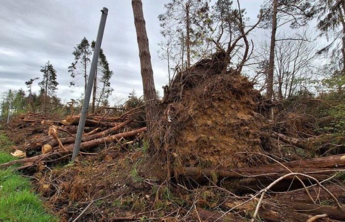 Tempesta Ciaran, un anno dopo: le misure eccezionali adottate nella Manica a cinque cifre