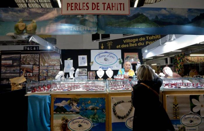 FIERA DI DIGIONE: Il nuovo corridoio degli Epicurei migliora l'esperienza dei visitatori