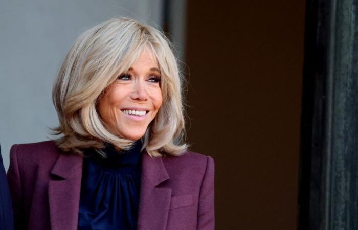 Villa con piscina, guerra tra vicini… Brigitte Macron imbarazzata, suo nipote è sulla bocca di tutti