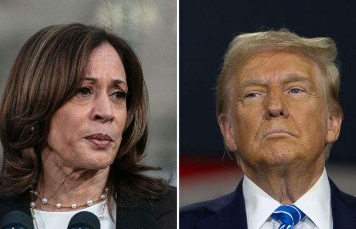 Sprint finale per Harris e Trump a quattro giorni dalle elezioni presidenziali