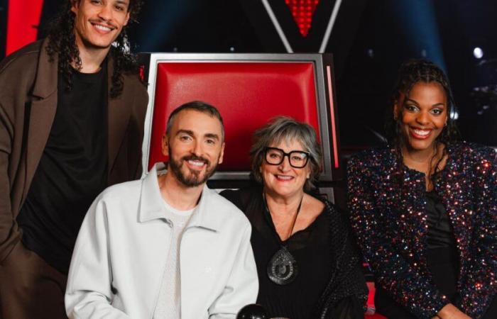 “Per “The Voice”, ad esempio, si aggira tra i 700 e i 1.000 euro… al minuto! »