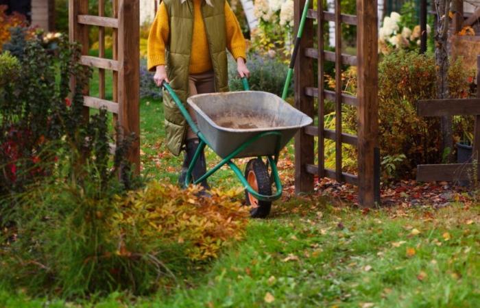 I miei 11 strumenti preferiti per la pulizia del cortile autunnale