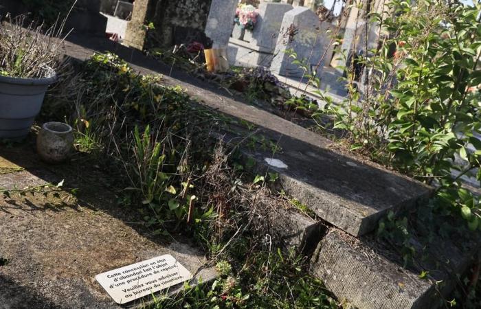 i cimiteri finiranno presto lo spazio?