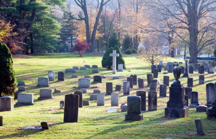 Yvelines: si reca al cimitero per visitare la tomba del padre, quello che scopre invece la sconvolge