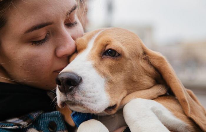 FATTO DEL GIORNO Come piangere la perdita del proprio animale domestico?