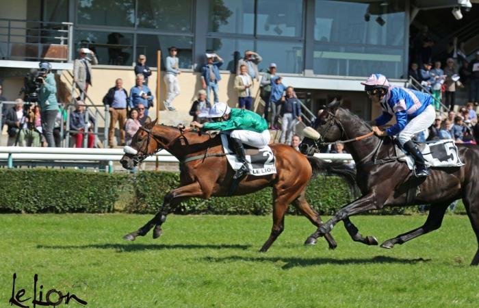 Il raduno del Gran Premio di Nantes, appuntamento imperdibile dell’autunno agonistico, da seguire su Facebook Live dalle 11:40.