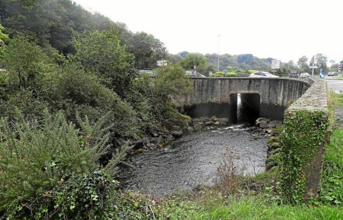 Dopo l'inquinamento a Plouvien, il prefetto del Finistère concede a Sill un mese per conformarsi