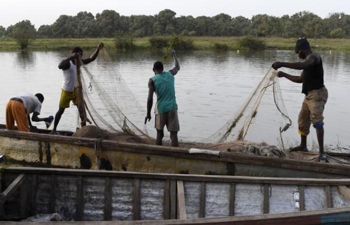 Fonti locali accusano l’esercito ciadiano di aver ucciso per errore “decine” di pescatori in Nigeria