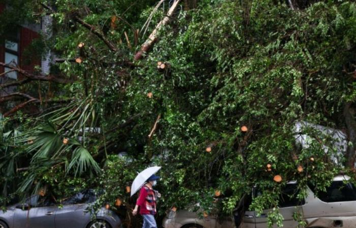 Taiwan: due morti e oltre 500 feriti dopo il passaggio del tifone Kong-rey