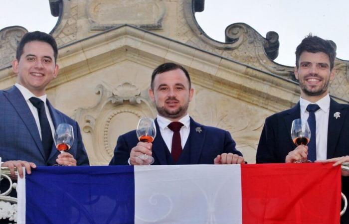 Domenica si svolgerà a Thuir la finale del concorso per il miglior sommelier di Francia