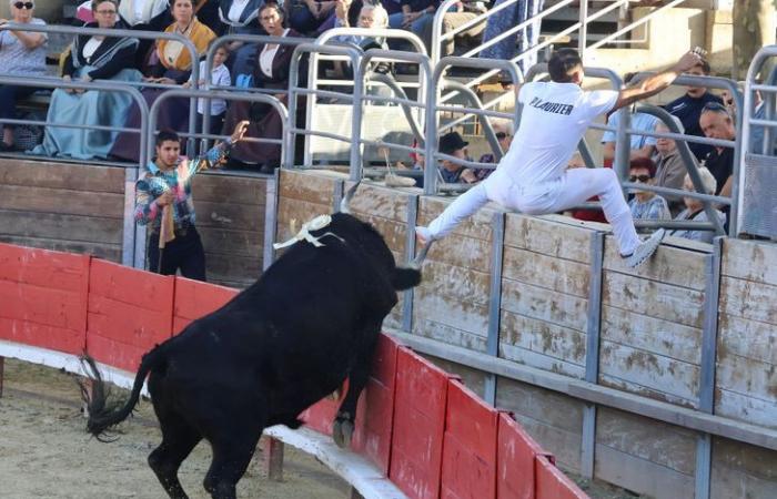 Vendargues: fischiatore di alto livello nella finale di punta del Main d’Or