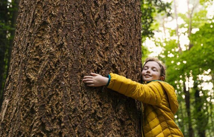 Perché abbiamo bisogno di sviluppare la nostra empatia con la natura?