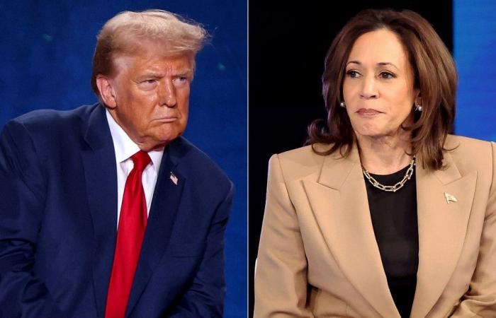 quando il duello Trump-Harris verrà esportato in Francia